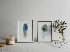 Image of a feather watercolor painting by Shayna Larsen, originals & prints available