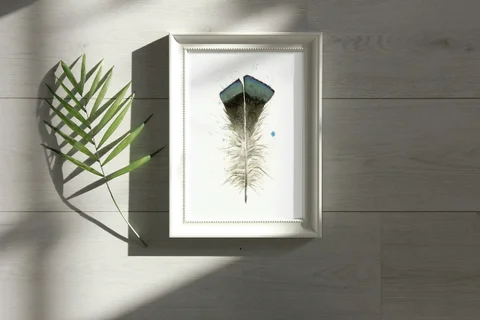 Image of a feather watercolor painting by Shayna Larsen, originals & prints available