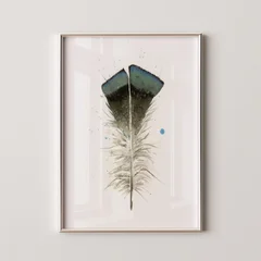 Image of a feather watercolor painting by Shayna Larsen, originals & prints available