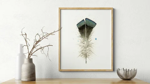 Image of a feather watercolor painting by Shayna Larsen, originals & prints available