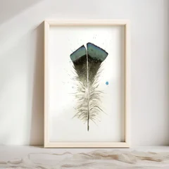 Image of a feather watercolor painting by Shayna Larsen, originals & prints available
