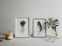 Image of a feather watercolor painting by Shayna Larsen, originals & prints available