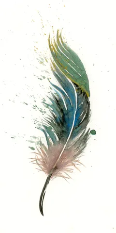 Image of a feather watercolor painting by Shayna Larsen, originals & prints available