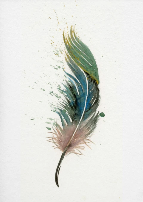 Image of a feather watercolor painting by Shayna Larsen, originals & prints available