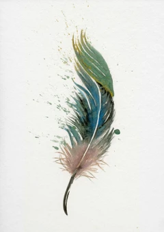 Image of a feather watercolor painting by Shayna Larsen, originals & prints available
