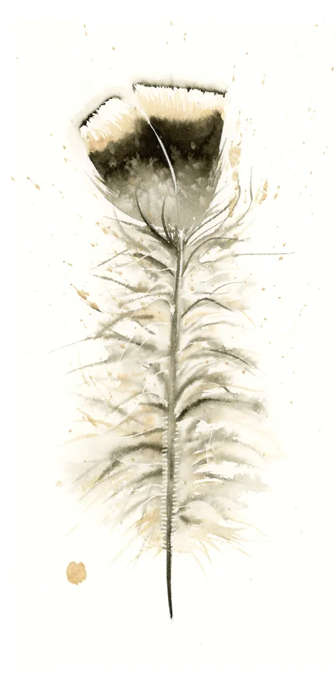 Image of a feather watercolor painting by Shayna Larsen, originals & prints available