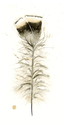 Image of a feather watercolor painting by Shayna Larsen, originals & prints available