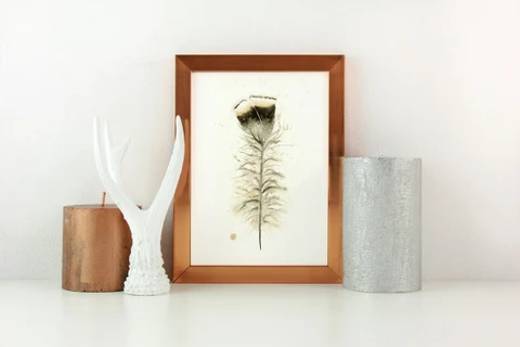 Image of a feather watercolor painting by Shayna Larsen, originals & prints available