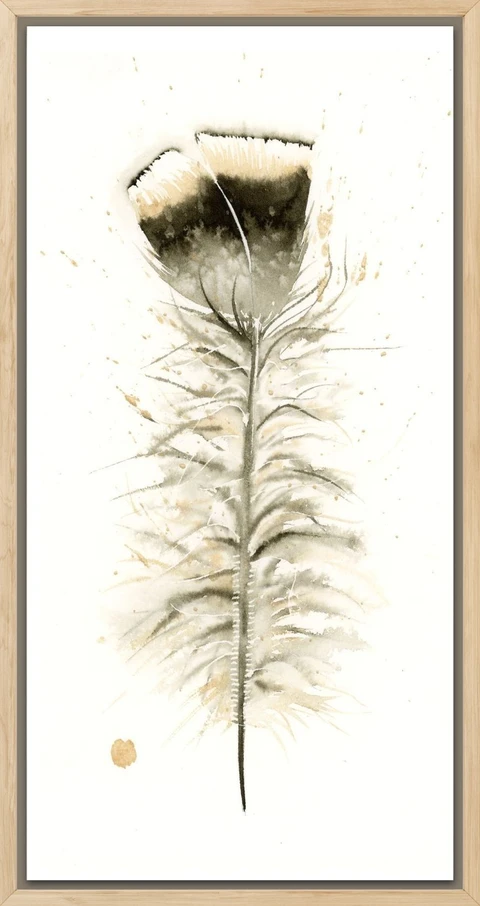 Image of a feather watercolor painting by Shayna Larsen, originals & prints available