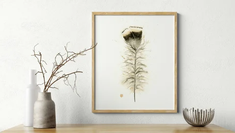 Image of a feather watercolor painting by Shayna Larsen, originals & prints available