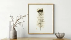 Image of a feather watercolor painting by Shayna Larsen, originals & prints available