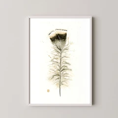 Image of a feather watercolor painting by Shayna Larsen, originals & prints available