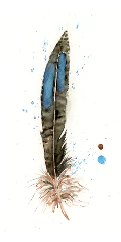 Image of a feather watercolor painting by Shayna Larsen, originals & prints available