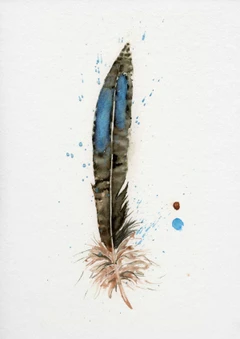 Image of a feather watercolor painting by Shayna Larsen, originals & prints available