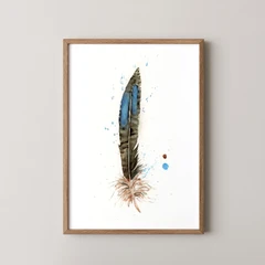Image of a feather watercolor painting by Shayna Larsen, originals & prints available