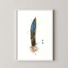 Image of a feather watercolor painting by Shayna Larsen, originals & prints available
