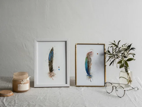 Image of a feather watercolor painting by Shayna Larsen, originals & prints available