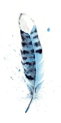 Image of a feather watercolor painting by Shayna Larsen, originals & prints available