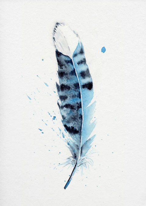 Image of a feather watercolor painting by Shayna Larsen, originals & prints available