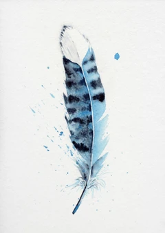 Image of a feather watercolor painting by Shayna Larsen, originals & prints available