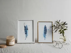 Image of a feather watercolor painting by Shayna Larsen, originals & prints available