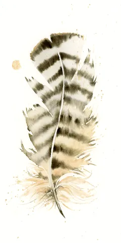 Image of a feather watercolor painting by Shayna Larsen, originals & prints available
