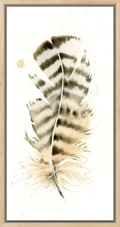 Image of a feather watercolor painting by Shayna Larsen, originals & prints available