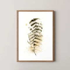 Image of a feather watercolor painting by Shayna Larsen, originals & prints available