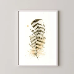 Image of a feather watercolor painting by Shayna Larsen, originals & prints available