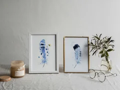 Image of a feather watercolor painting by Shayna Larsen, originals & prints available