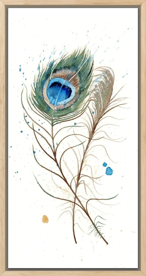 Image of a feather watercolor painting by Shayna Larsen, originals & prints available