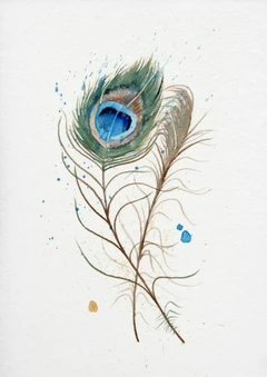 Image of a feather watercolor painting by Shayna Larsen, originals & prints available