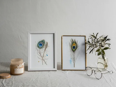 Image of a feather watercolor painting by Shayna Larsen, originals & prints available