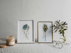 Image of a feather watercolor painting by Shayna Larsen, originals & prints available
