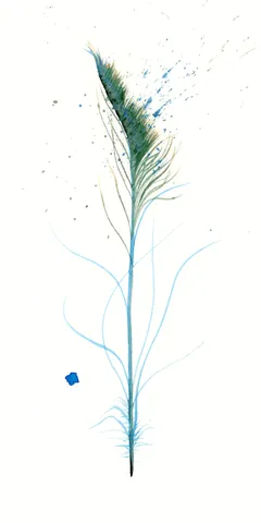 Image of a feather watercolor painting by Shayna Larsen, originals & prints available