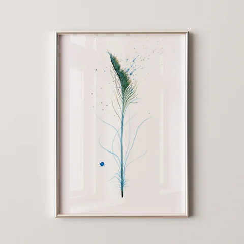 Image of a feather watercolor painting by Shayna Larsen, originals & prints available