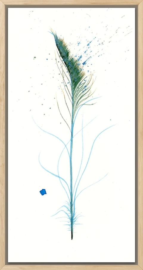 Image of a feather watercolor painting by Shayna Larsen, originals & prints available