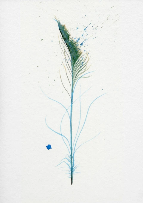 Image of a feather watercolor painting by Shayna Larsen, originals & prints available