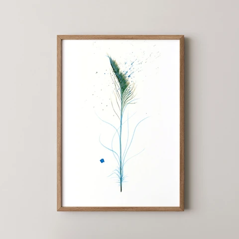 Image of a feather watercolor painting by Shayna Larsen, originals & prints available