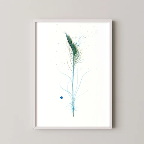Image of a feather watercolor painting by Shayna Larsen, originals & prints available