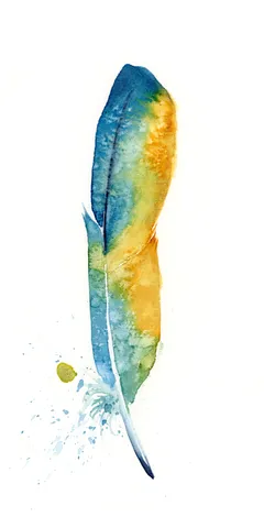 Image of a feather watercolor painting by Shayna Larsen, originals & prints available