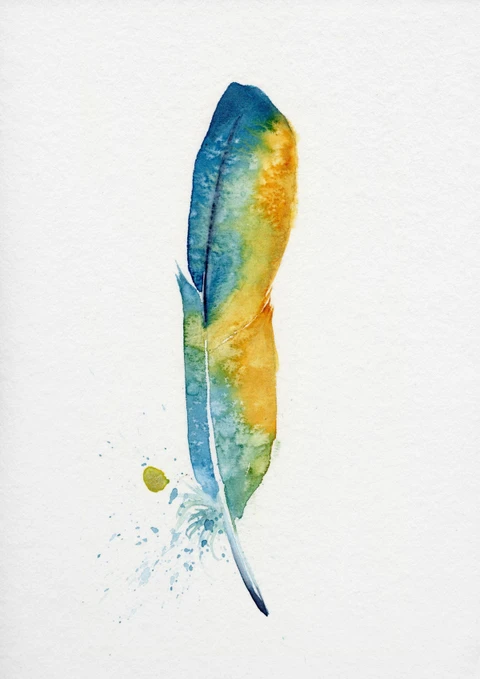 Image of a feather watercolor painting by Shayna Larsen, originals & prints available