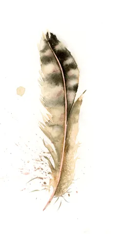 Image of a feather watercolor painting by Shayna Larsen, originals & prints available