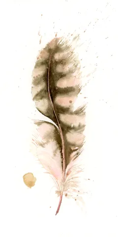 Image of a feather watercolor painting by Shayna Larsen, originals & prints available