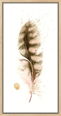 Image of a feather watercolor painting by Shayna Larsen, originals & prints available