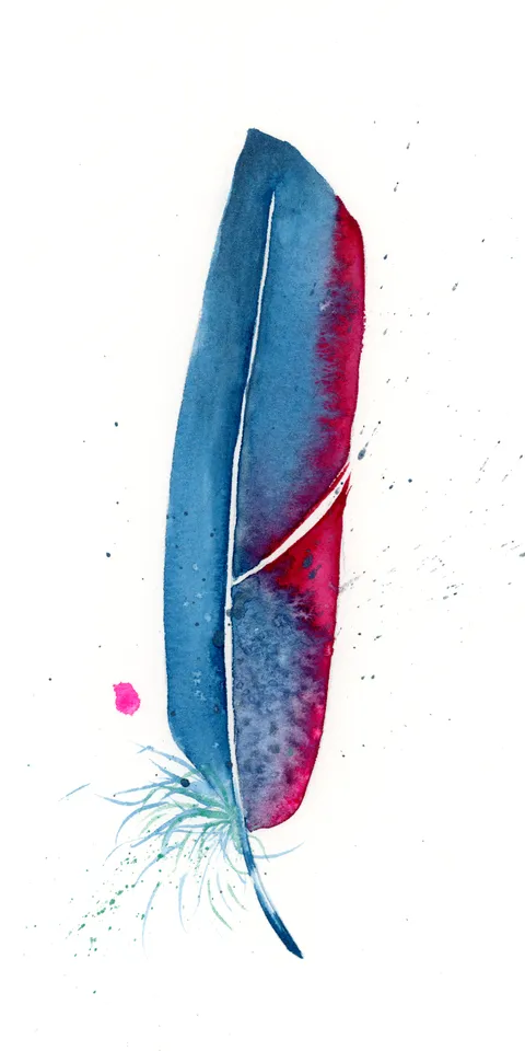 Image of a feather watercolor painting by Shayna Larsen, originals & prints available