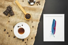 Image of a feather watercolor painting by Shayna Larsen, originals & prints available