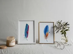 Image of a feather watercolor painting by Shayna Larsen, originals & prints available