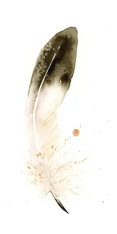 Image of a feather watercolor painting by Shayna Larsen, originals & prints available