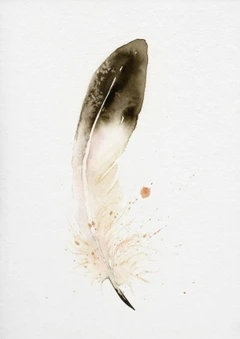 Image of a feather watercolor painting by Shayna Larsen, originals & prints available